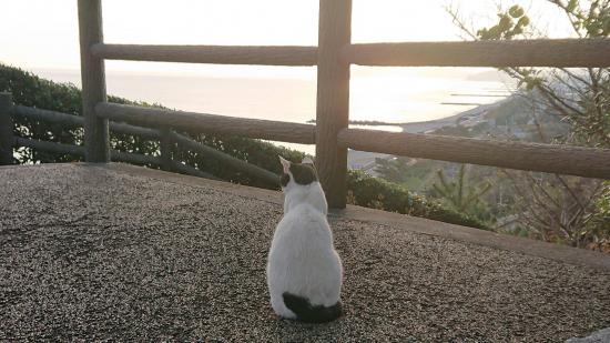 【画像】旅行行けなくて淋しいから適当にスマホに残ってる旅先の画像上げてく_4194303